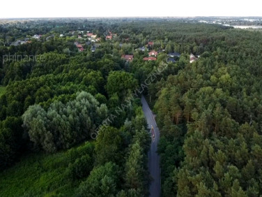 Działka leśna Czosnów