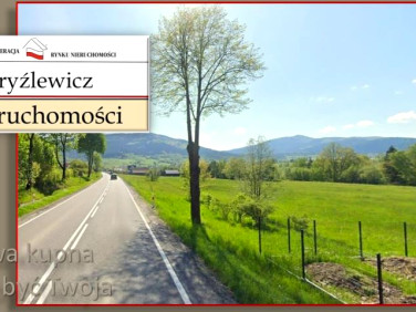 Działka przemysłowa Dobra