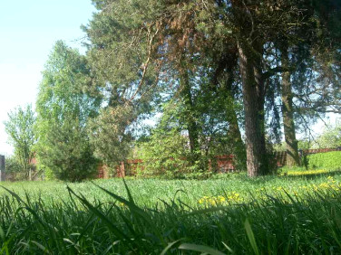 Działka budowlana Biała Podlaska