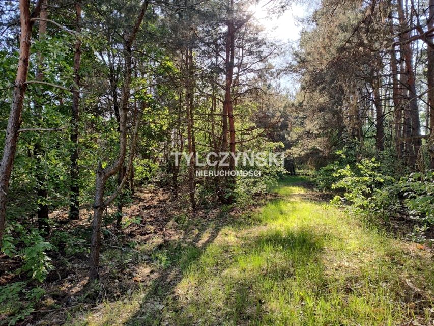 Działka rekreacyjna Franciszków