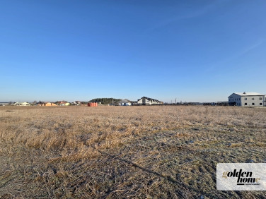 Działka budowlana Drużyna