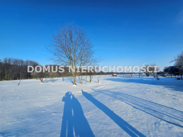 Działka siedliskowa Lubiska