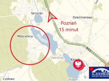 Działka budowlana Skrzynki