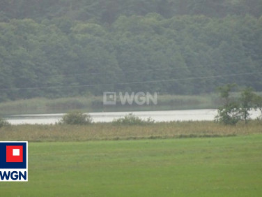 Działka leśna Koszelewki