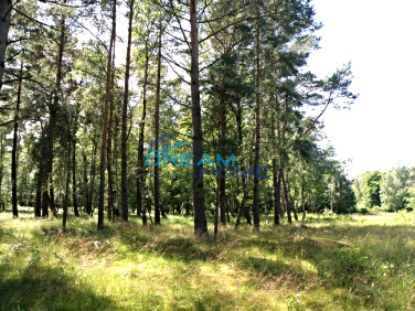 Działka budowlana Dziwnów