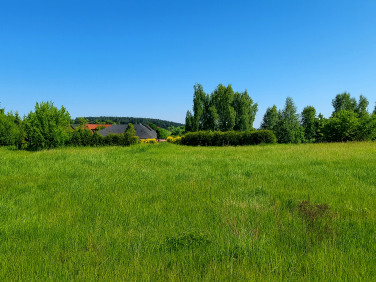 Działka inwestycyjna Lublewo Gdańskie