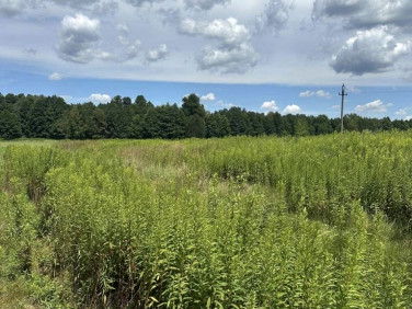 Działka budowlana Murów