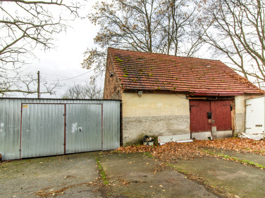 Dom Drzeniów sprzedaż