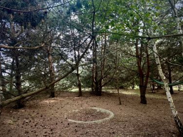 Działka rekreacyjna Huta