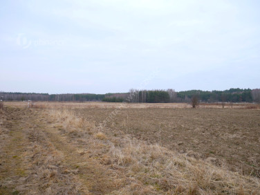 Działka rolna Grębów