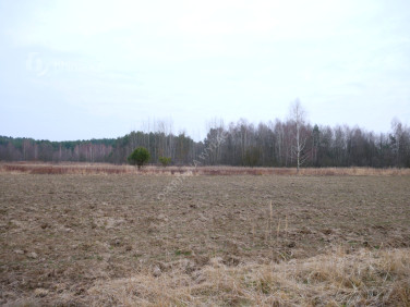 Działka rolna Grębów