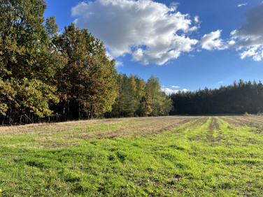 Działka rolna Wołomin