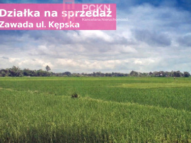 Działka przy lesie