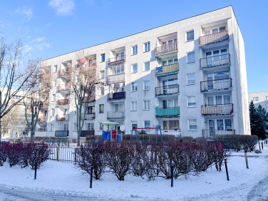 Mieszkanie Łódź sprzedaż