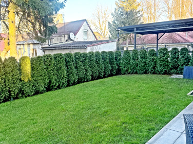 Mieszkanie Zielona Góra