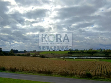 Dom Strzyżewo Kościelne