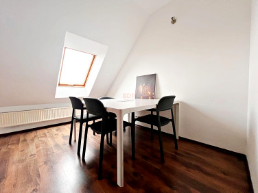 Lokal Wrocław