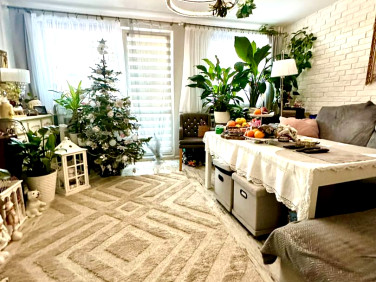 Mieszkanie Jelenia Góra