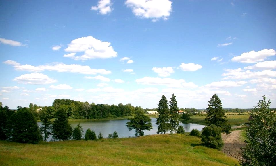 Działka siedliskowa Wilkasy