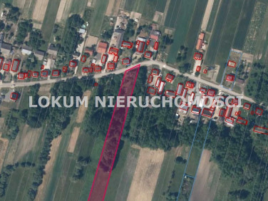 Działka rolna Orzelec Duży