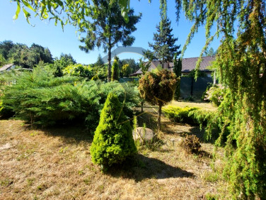 Działka budowlana Świerczyna sprzedam