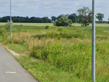 Działka Żórawina