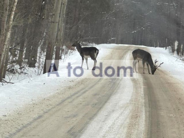 Dom Wólka Wiciejowska sprzedaż