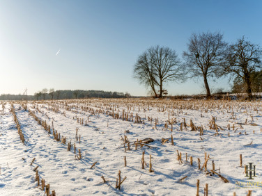 Działka budowlana Brodna