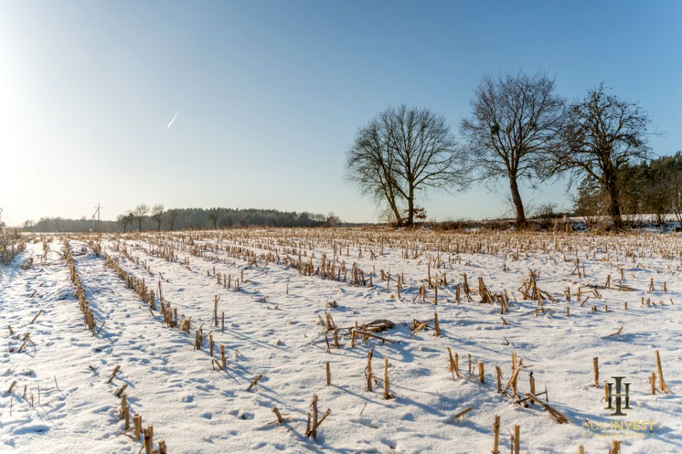 Działka budowlana Brodna