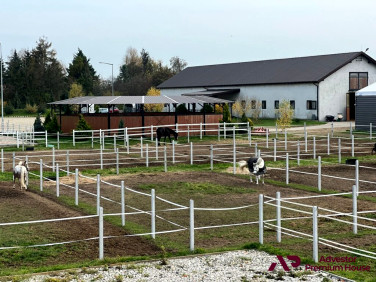 Działka siedliskowa Szamotuły