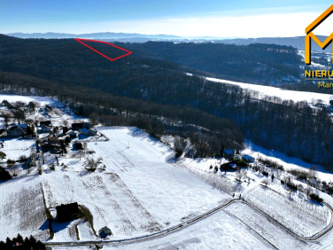 Działka leśna Świebodzin