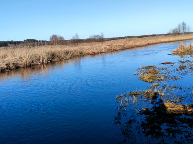 Działka rolna Ogrodniczki