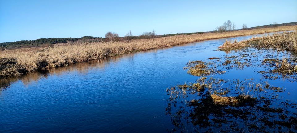 Działka rolna Ogrodniczki