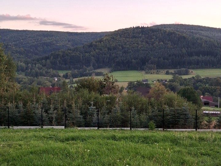 Działka przy lesie