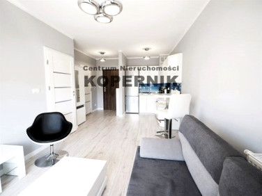 Mieszkanie Toruń wynajem