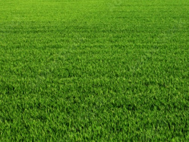 Działka inwestycyjna Częstochowa