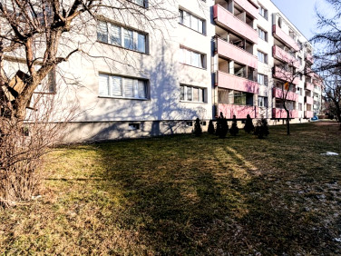 Mieszkanie Bielsko-Biała