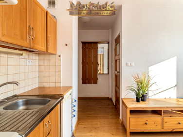 Mieszkanie blok mieszkalny przy lesie