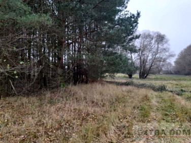 Działka rolna Modlimowo