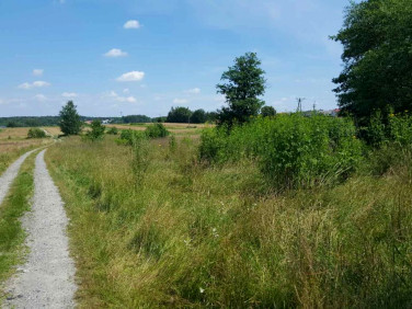 Działka siedliskowa Hucisko