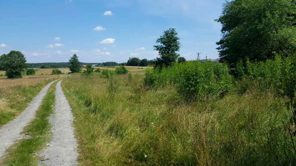 Działka siedliskowa Hucisko