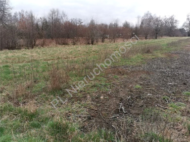 Działka budowlana Budy-Grzybek