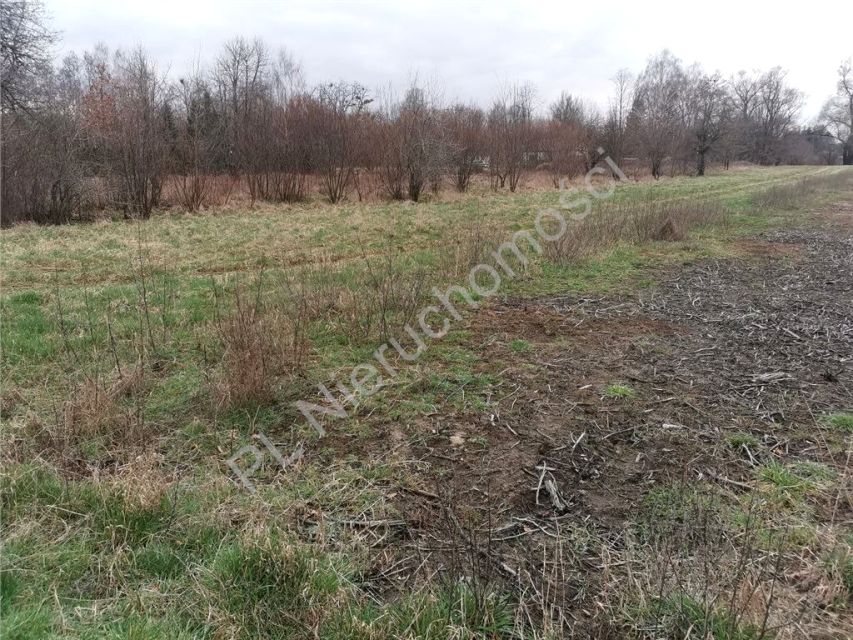 Działka budowlana Budy-Grzybek