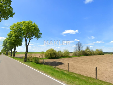 Działka rolna Nowy Jasiniec