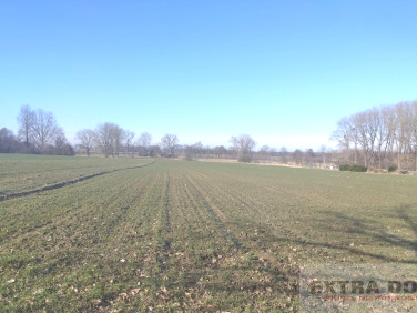 Działka Rożnowo Nowogardzkie