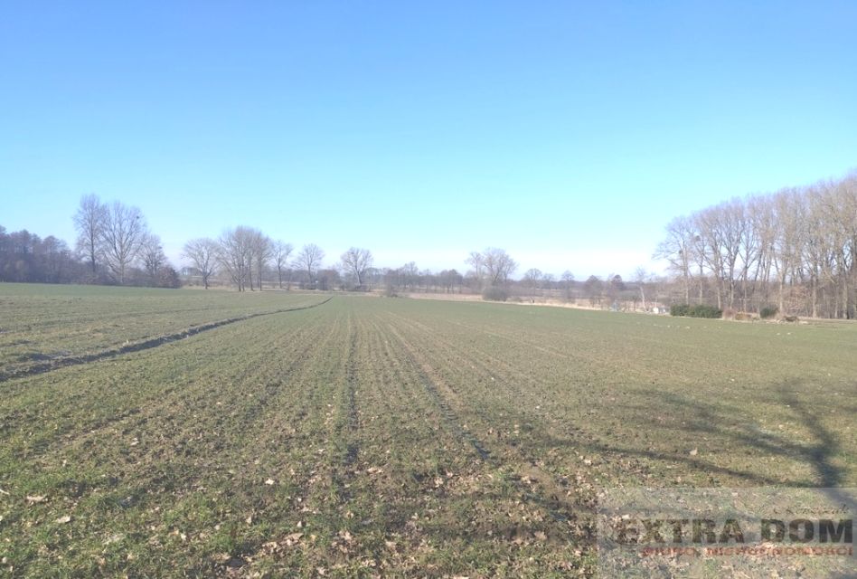 Działka Rożnowo Nowogardzkie