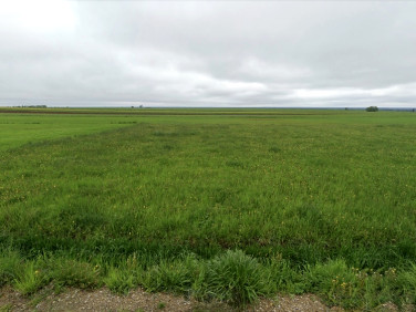 Działka budowlana Cynków sprzedam