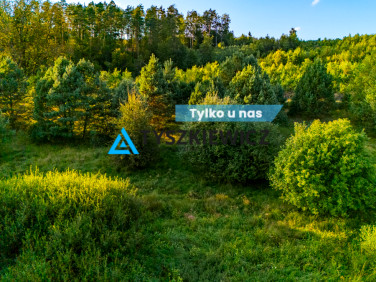 Działka rekreacyjna Sulęczyno