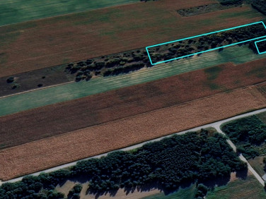 Działka budowlana Tymianka sprzedam