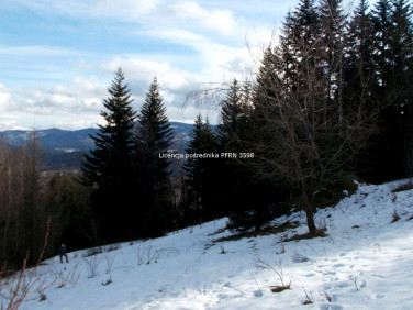 Działka rolna Zawoja